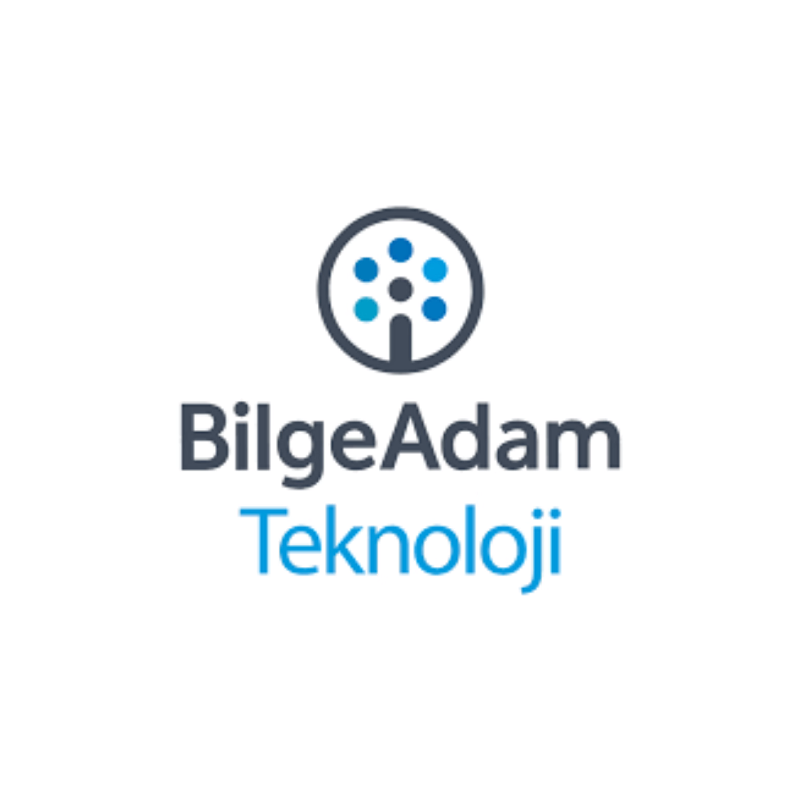 bilgeadam